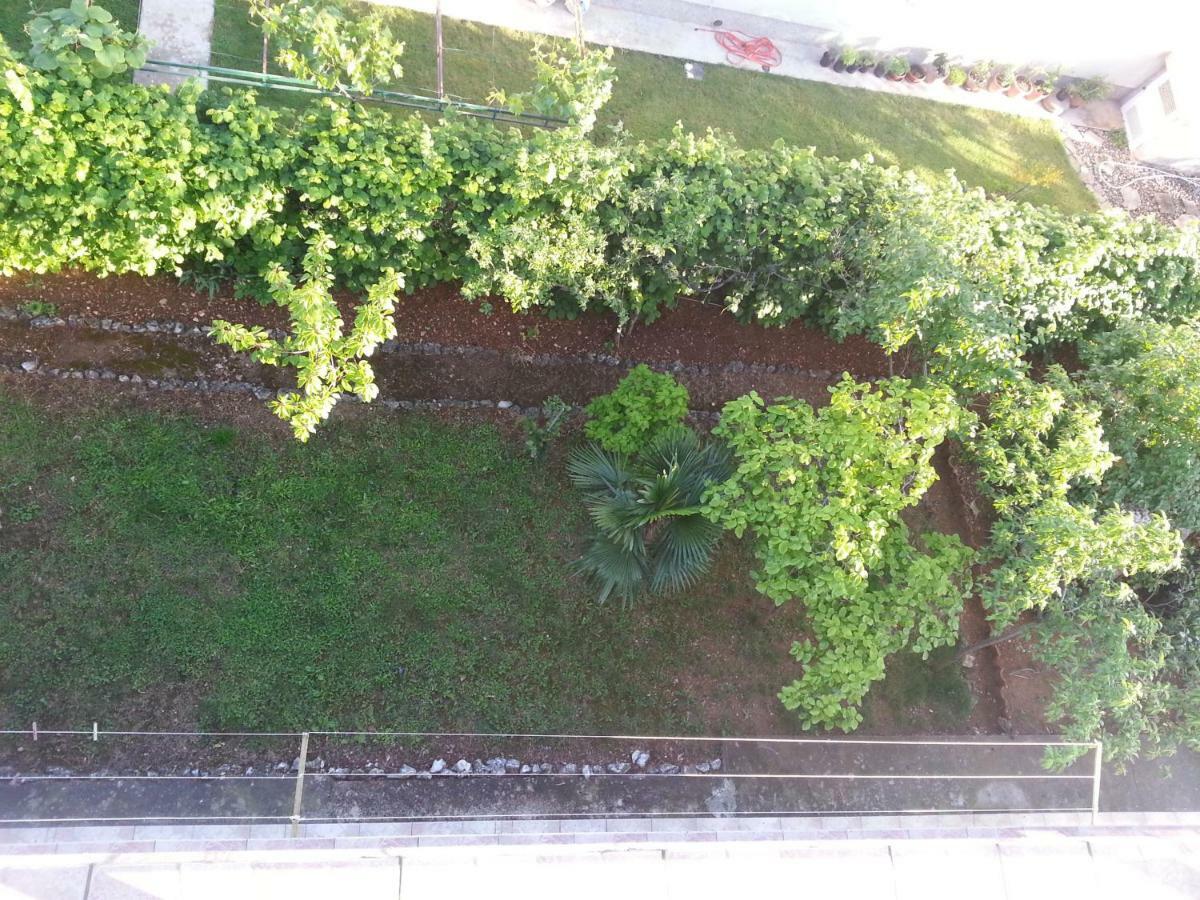 Kamelija Apartament *